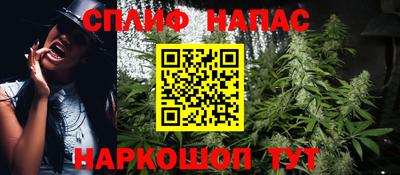 Альфа ПВП Новодвинск
