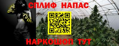 Альфа ПВП Новодвинск