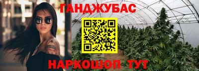 Альфа ПВП Новодвинск