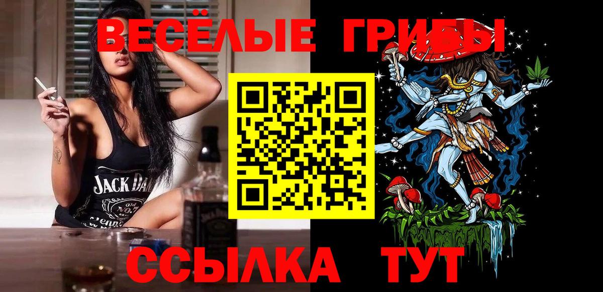 Галлюциногенные грибы Psilocybe  купить наркотики цена  Псилоцибиновые грибы Psilocybe  Таганрог  Вход с VPN 