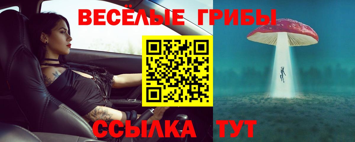 Псилоцибиновые грибы GOLDEN TEACHER Таганрог